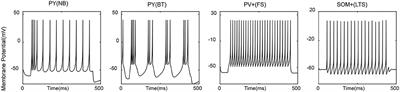 Synaptic Role in Facilitating Synchronous Theta Oscillations in a Hybrid Hippocampal Neuronal Network